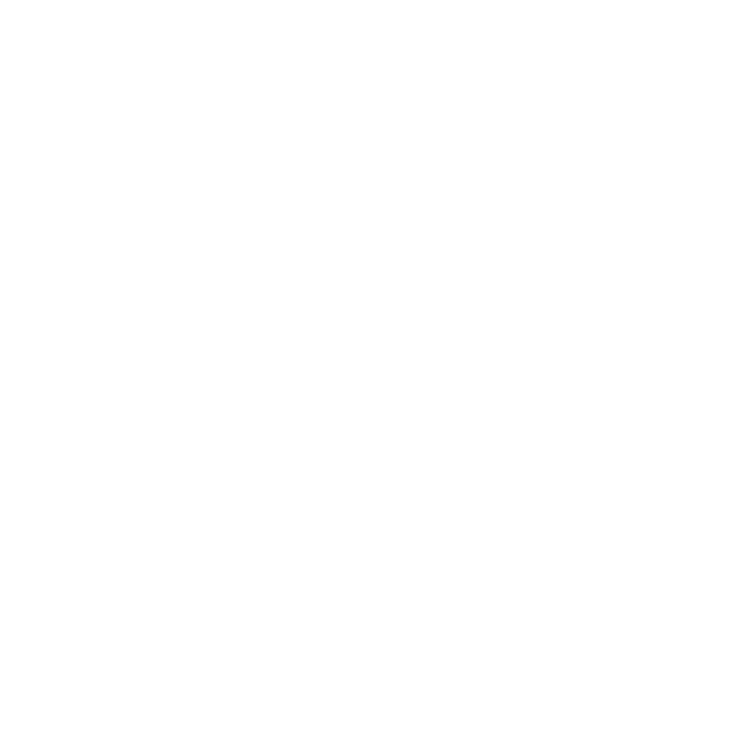 a1 Copy
